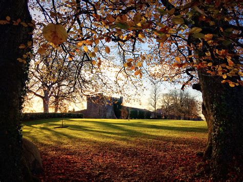 Castle Durrow Walk - November 16th 2017 - Walking Durrow