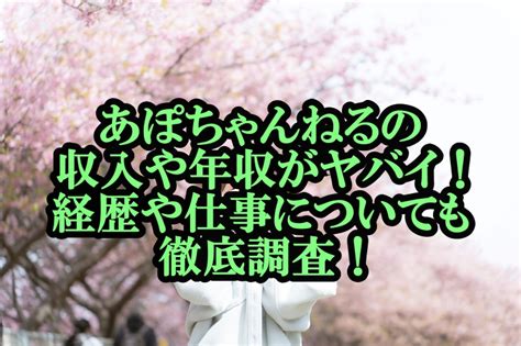 あぽちゃんねるの収入や年収がヤバイ！経歴や仕事についても徹底調査！ Toyoball