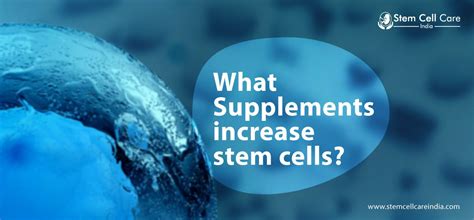 What Supplements Increase Stem Cells