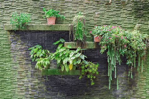 Jardines verticales Una solución moderna para espacios reducidos