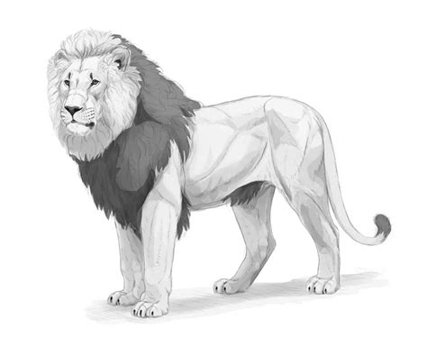 How To Draw A Realistic Lion, With Monika Zagrobelna - Wacom Blog