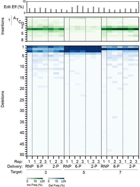 Dna Repair Outcomes Are Not Influenced By Foki Ecocascade Delivery