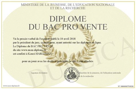 Diplome Du Bac Pro Vente