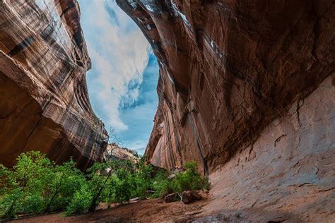 Faire Du Backpacking Dans Le Grand Staircase Escalante