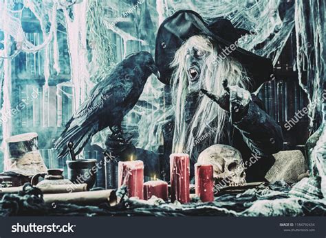 Scary Wizard Raven Halloween Horror Film Stock Photo 1184792434 ...