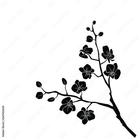 Orchid Silhouette Vector Free