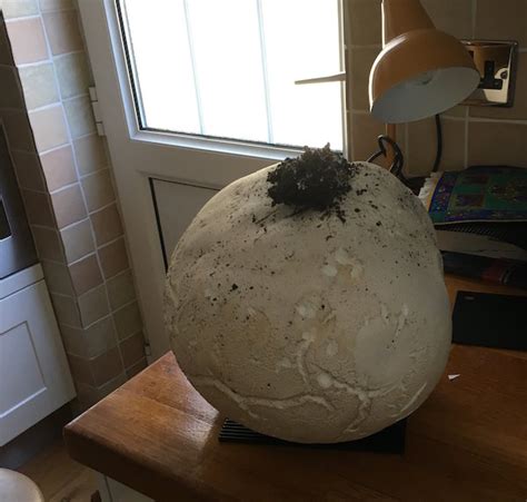 2 00PM Water Cooler 7 24 2017 Naked Capitalism