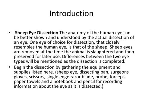 Ppt Sheep Eye Dissection Powerpoint Presentation Free Download Id