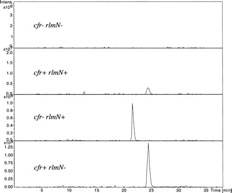 Extracted Ion Chromatogram Of Monomethylated Adenosine Species Mz