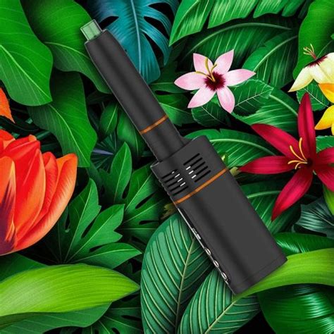 E Cig Kits E Cig Dry Herb Vaporizer Kits Original Kingtons Blk Rotary Dry Herb Vaporizer