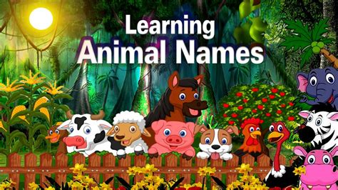 Learning Wild Animal Names Forestzoosafari Animals जंगली