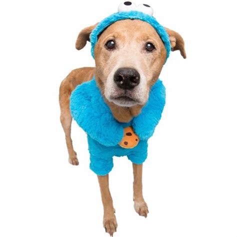 Pet Krewe Sesame Street Cookie Monster Dog Costume Large