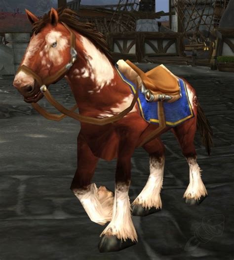 Stabled Horse Npc World Of Warcraft