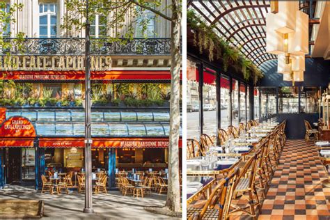 Découvrez les meilleures brasseries de Paris pour vous régaler