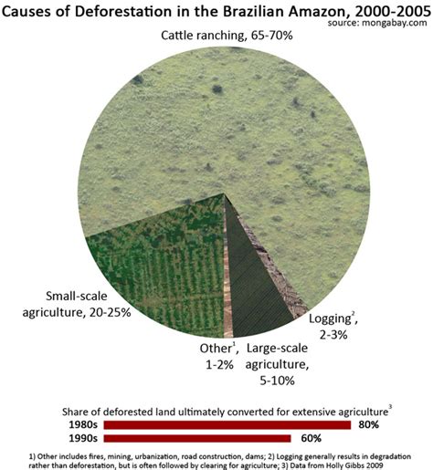 Rainforests Of Brazilan Environmental Status Report