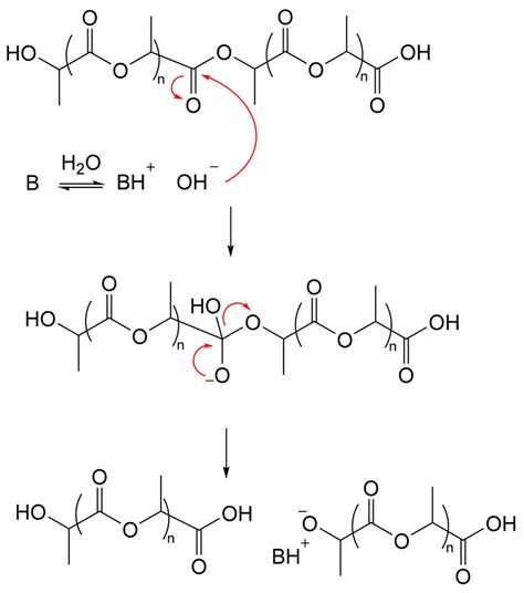 Scheme 4 Base Catalyzed Hydrolysis Mechanism Proposed For The Chain