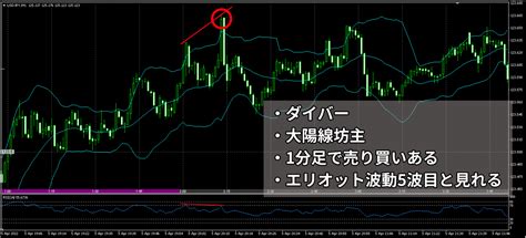 【バイナリーオプション】rsiで勝率を極限まで高める！設定も徹底解剖 本当に使える為替学 Kimagure