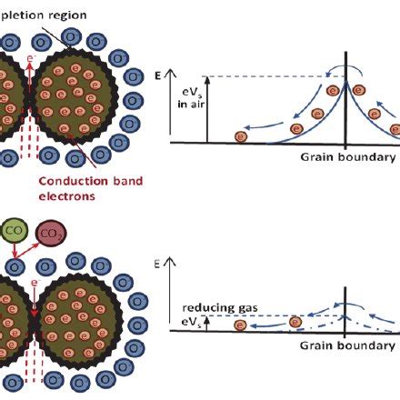 Mechanism Of Gas Sensing Operating On P Type CNT Semiconductors With