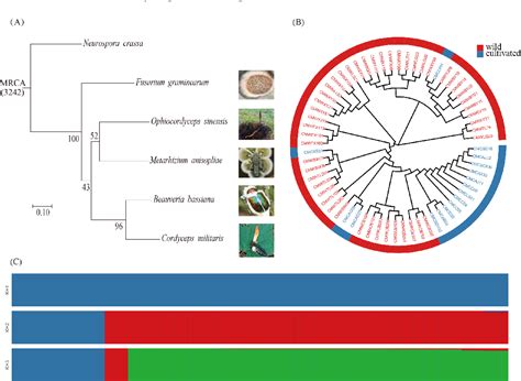 Figure 2 From Genomic And Transcriptome Analysis Reveals The