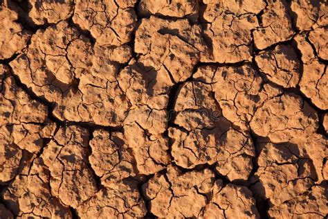 Patr N Craqueado De Barro Seco En El Suelo Del Desierto Textura Natural