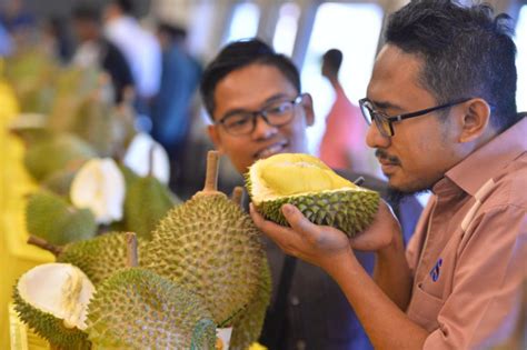 Here Are The Top Tips On How To Pick The Best Durian According To A