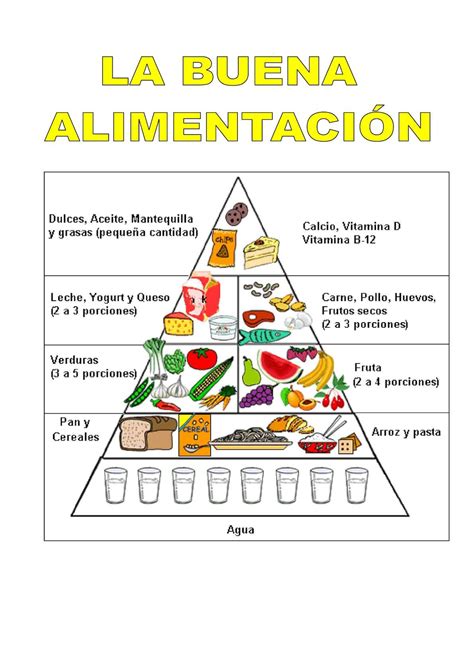 Calam O Piramide Alimenticia