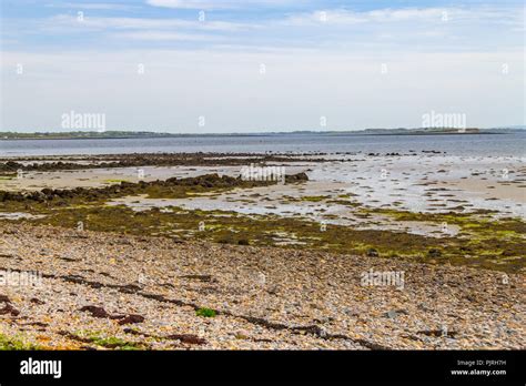 Rocks in Salthill beach, Galway, Ireland Stock Photo - Alamy