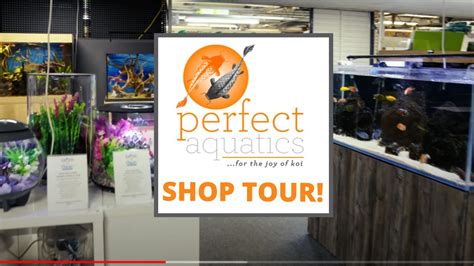 Perfect Aquatics Ltd Virtual Shop Tour Youtube