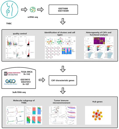 Integrated Analysis Of Single Cell Rna Seq And Bulk Rna Seq Unravels