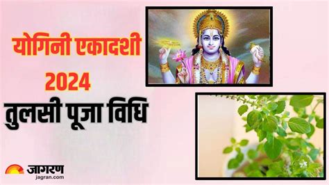 Yogini Ekadashi 2024 योगिनी एकादशी पर इस विधि से करें तुलसी की पूजा