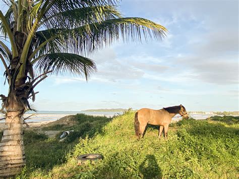 Bocas Del Toro Panama What To Know Before You Visit