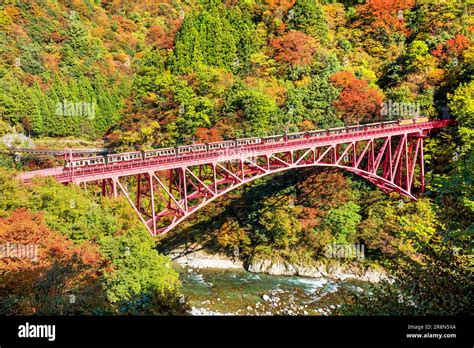 Kurobe Gorge Railway And Autumn Leaves Stock Photo Alamy