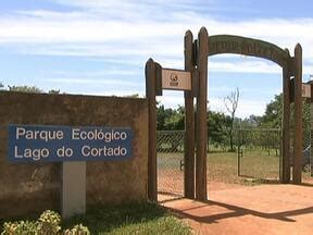 DF1 Moradores Reclamam Do Abandono Do Parque Do Cortado Em Taguatinga