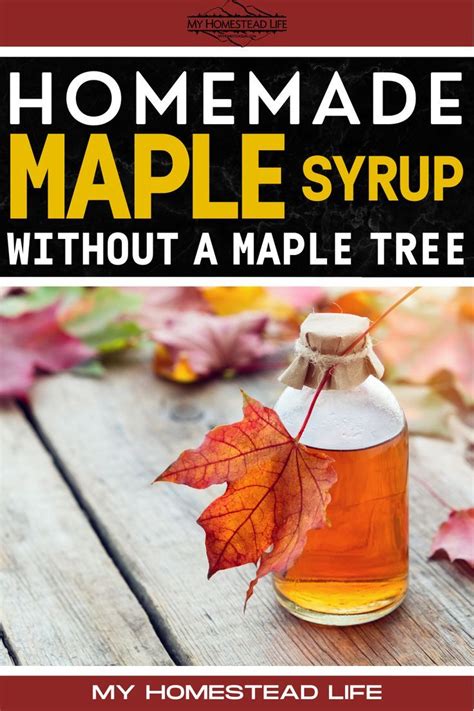 Homemade Maple Syrup Without A Maple Tree In 2023 Homemade Maple Syrup Maple Syrup