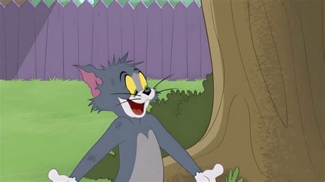 Tom Et Jerry Show Saison 4 épisode 225 En Replay