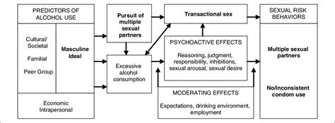 Potential Pathways By Which Alcohol Use And Transactional Sex Are Download Scientific Diagram