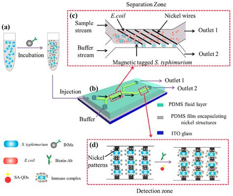 Schematic Illustration Of The Controllable Magnetic Microfluidic Device