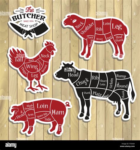 Meat Cuts Diagrams For Butcher Shop Vector Illustration Stock Vector