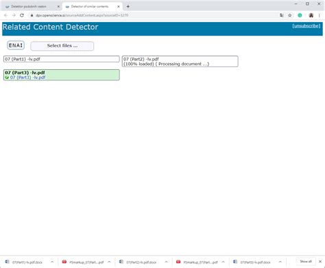 S19 13 DPV Plagiats Portal