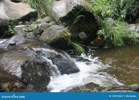 Stream Flowing Rapidly Over Rocks Otavalo Ecuador Stock Image Image