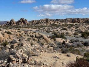 Joshua Tree Nationalpark Sch Nheit Der W Ste Kaliforniens