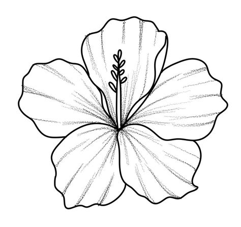 Pin De Marjorie Eme Em Dessin Em 2024 Tattoo Hibisco Desenho De