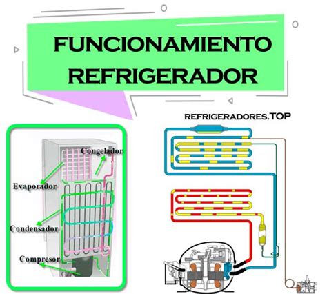 Sintético 94 Foto cómo Funciona La Compra De Letras Del Tesoro Lleno