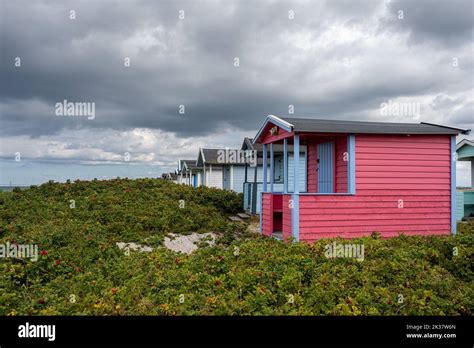 Pastel Colored Beach Huts At Skanor Beach Scania County South Of