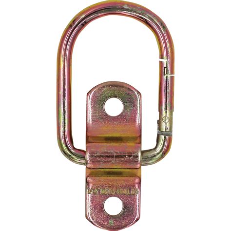 Cargosmart Latching D Ring — 300 Lb Capacity 14in Dia Model 6549