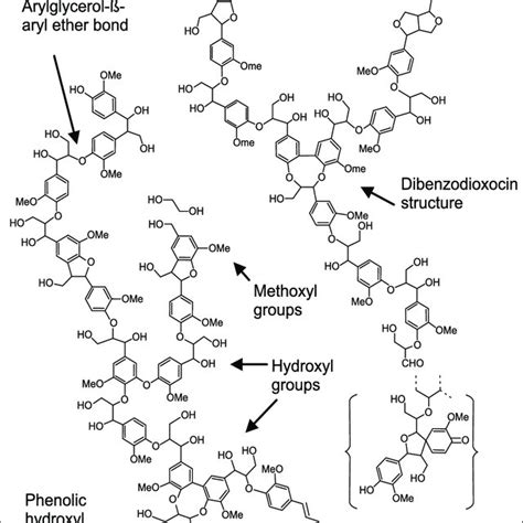 A Schematic Structure Of Lignocellulose Download Scientific Diagram