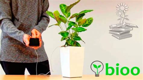 Bioo Lite Y Cómo Obtener Electricidad Y Wifi Con Plantas Greenteach