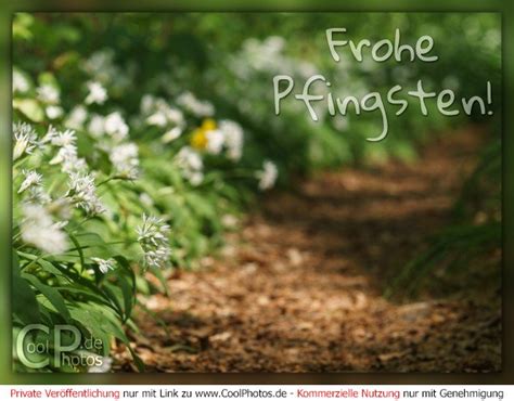 Coolphotos De Grußkarten Feiertage Pfingsten Frohe Pfingsten