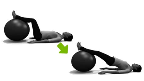 6 Best Ball Exercises For Lower Back For Quick Pain Relief Physiosunit