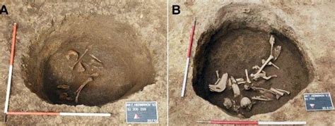 From: "Earliest evidence of artificial cranial deformation in Croatia ...